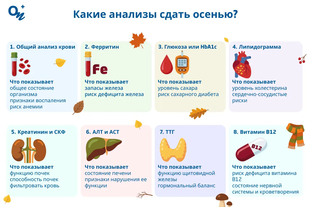 Какие анализы сдать осенью?