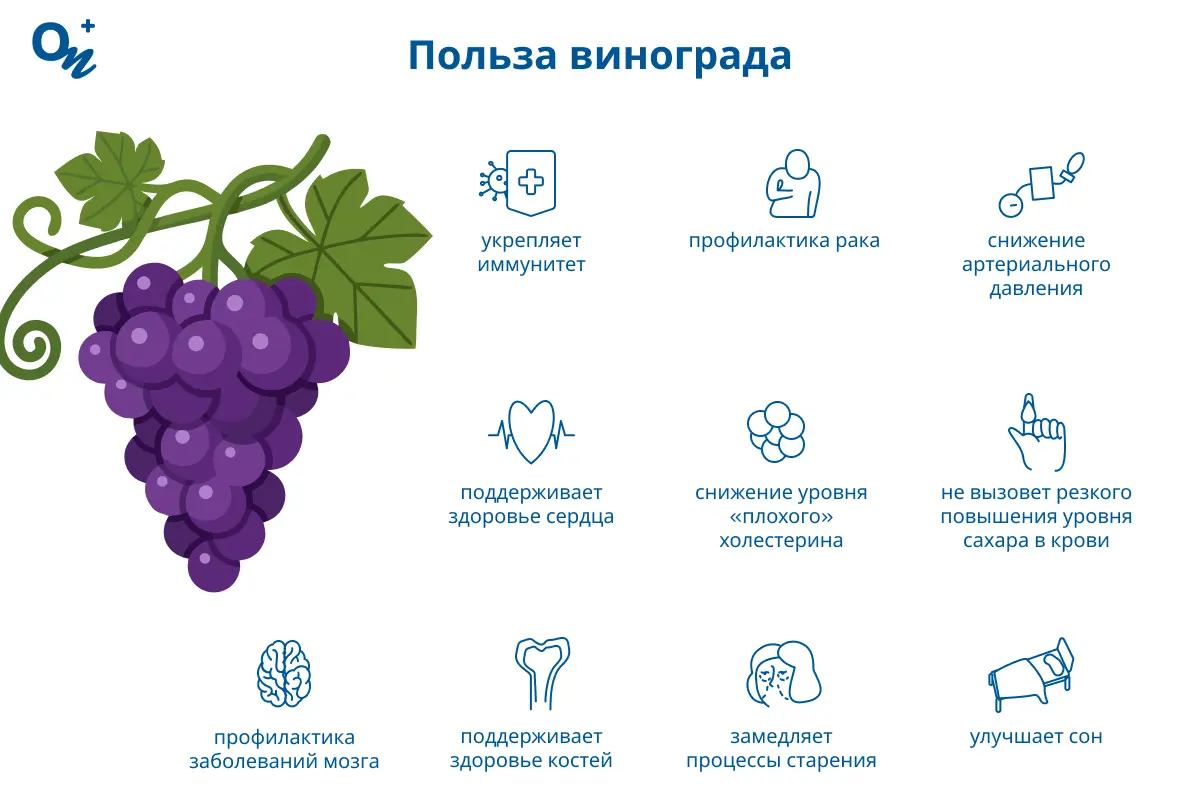 Польза винограда