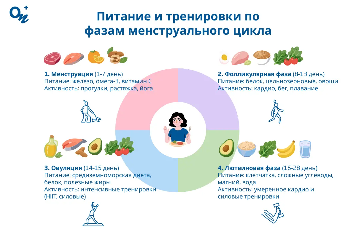 Питание и тренировки по фазам менструального цикла