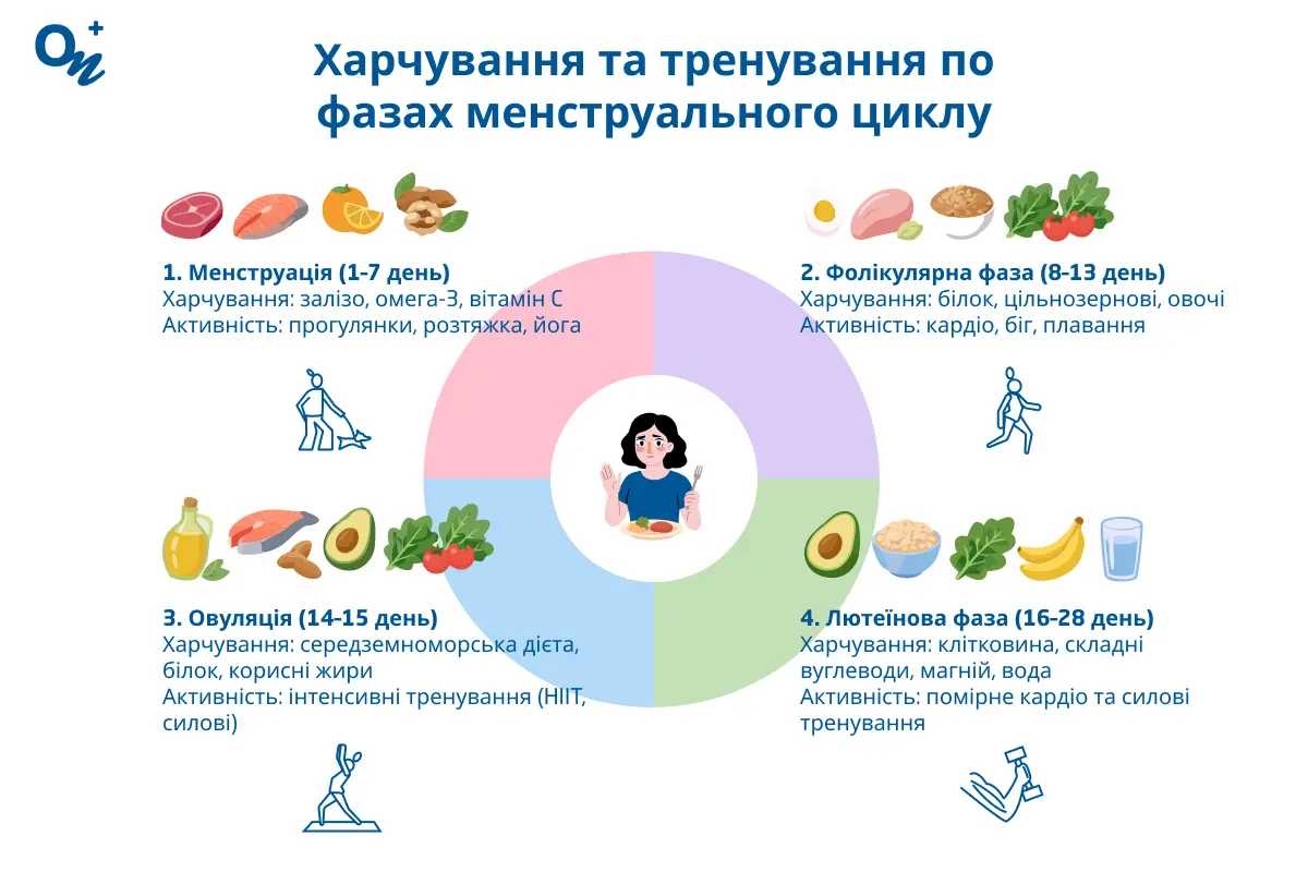 Харчування та тренування за фазами менструального циклу