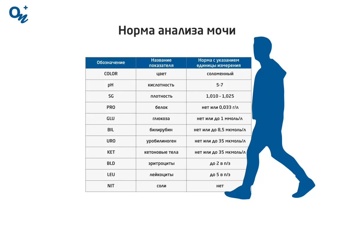 Какие анализы можно сдать в лаборатории ОН Клиник — блог медицинского  центра ОН Клиник