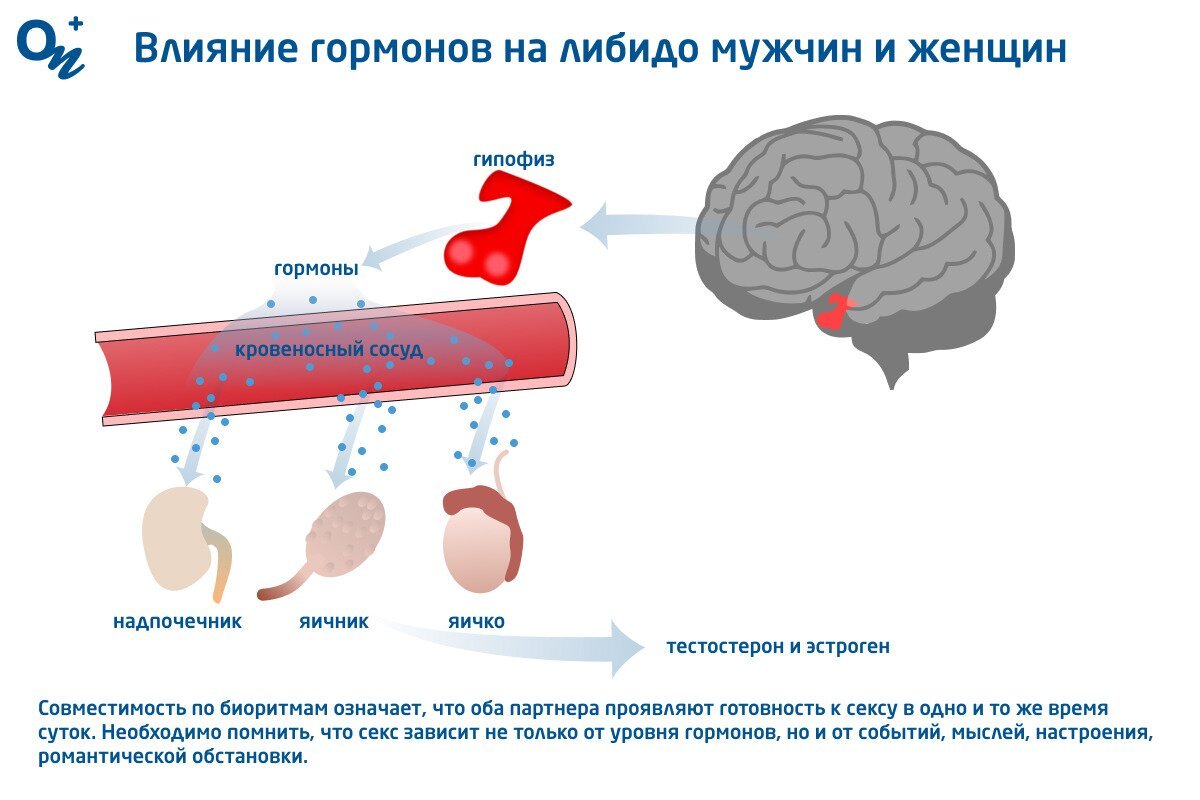 Почему женщина не хочет секса – 3 медицинские причины