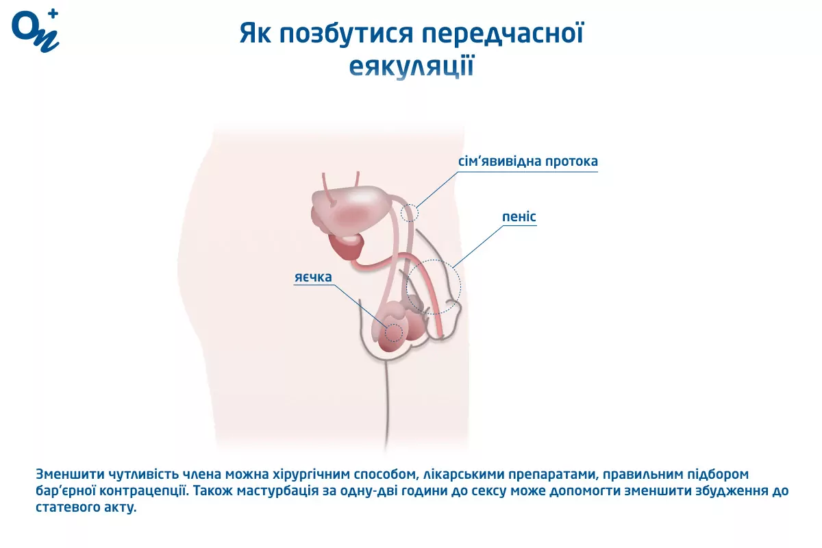 Яким повинен бути розмір члена?