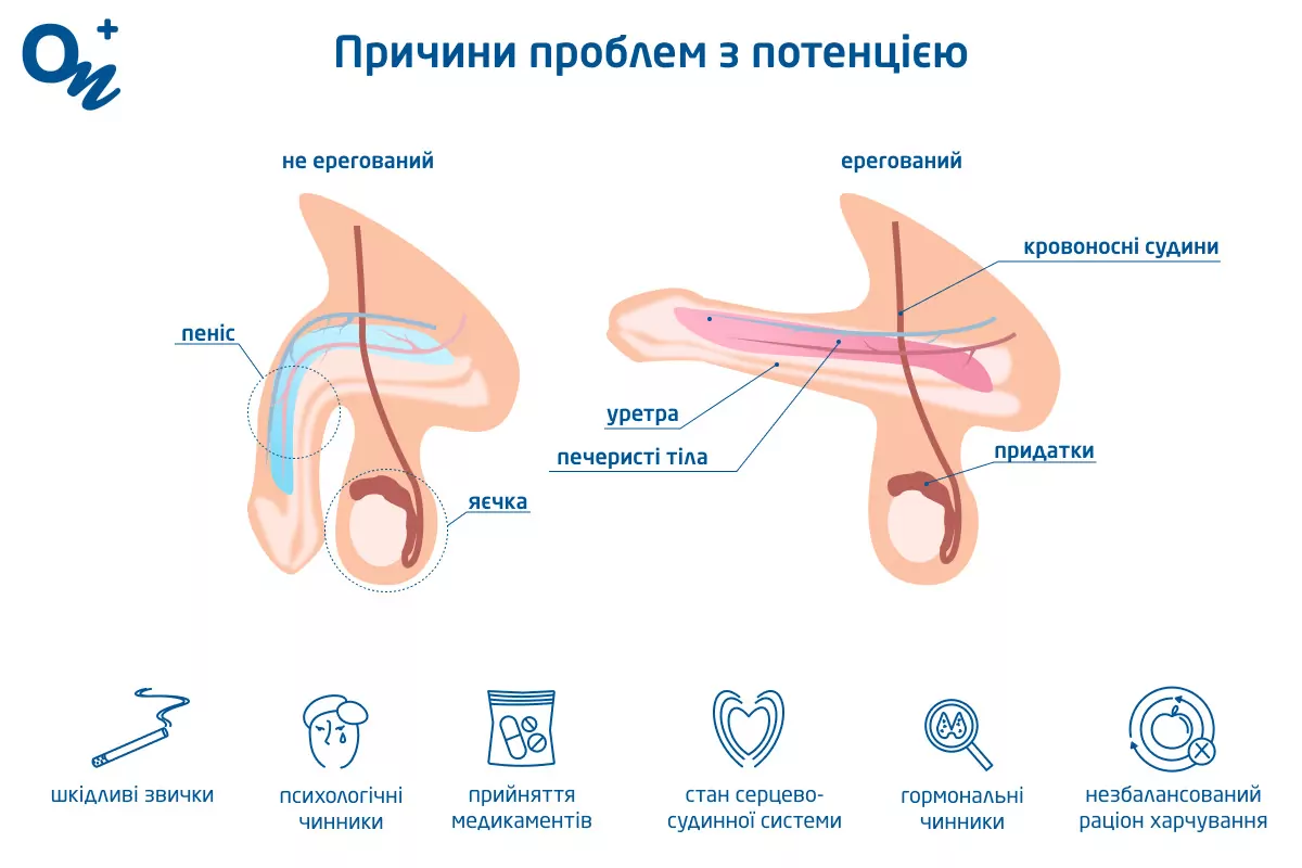 Эти 5 упражнений моментально поднимут потенцию. Как повысить либидо?