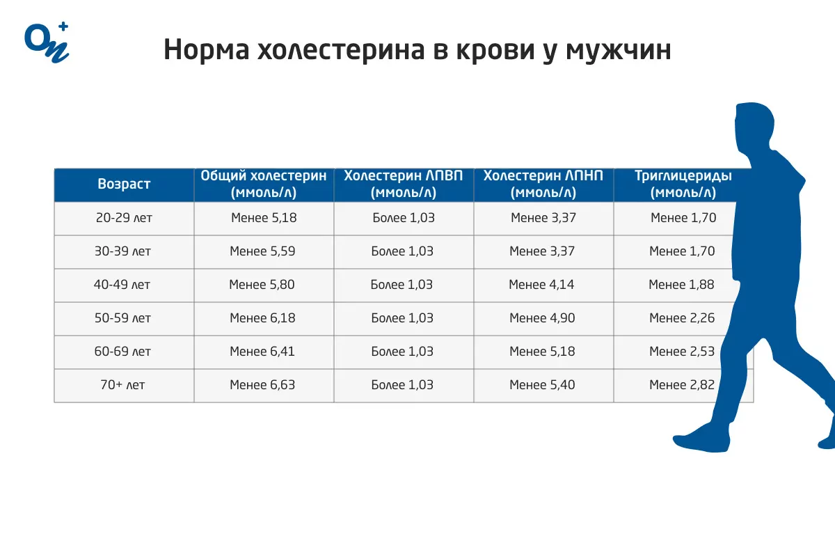 Холестерин: норма, причины повышения и способы снижения