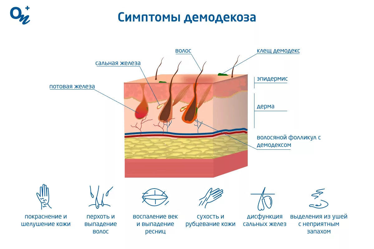 «Королевы и ведьмы Лохлэнна»: необычное фэнтези на основе кельтских легенд