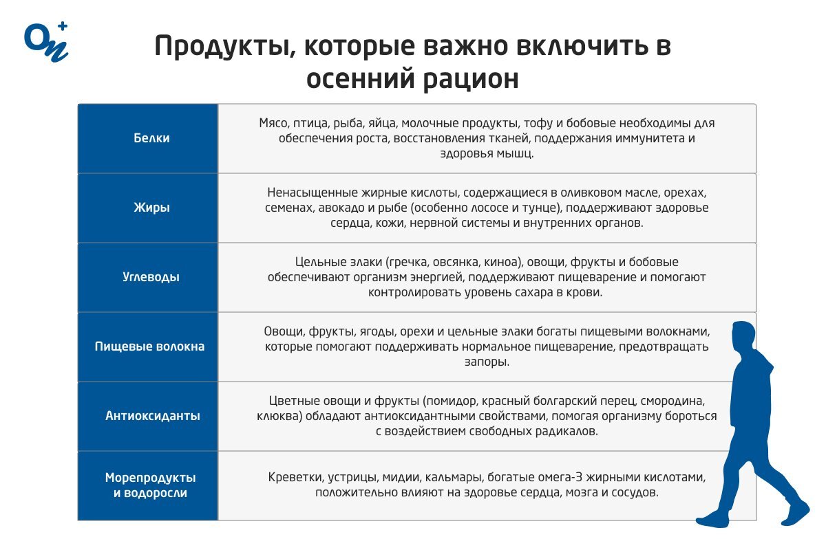 Питание осенью: запасаемся полезными веществами