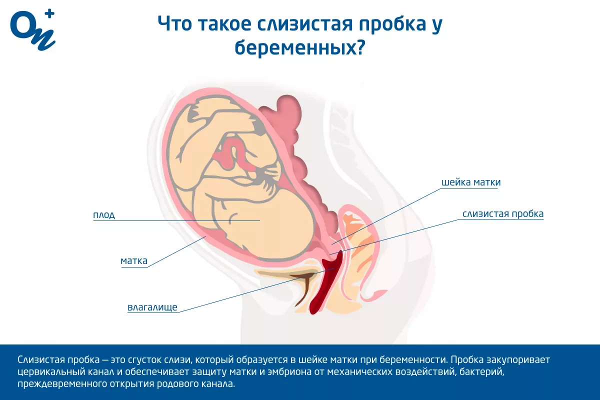 влияет ли секс на срок родов? - 23 ответа - Беременность - Форум Дети Mail