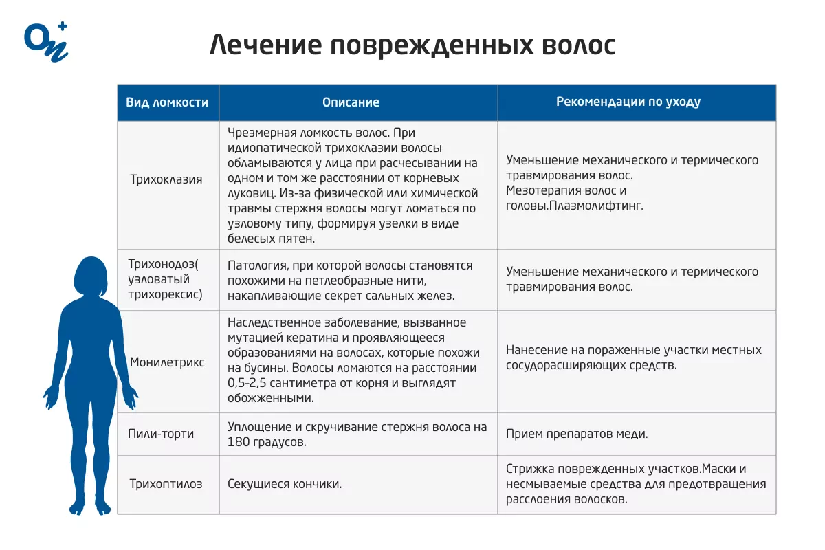 Почему волосы сухие и ломкие — блог медицинского центра ОН Клиник