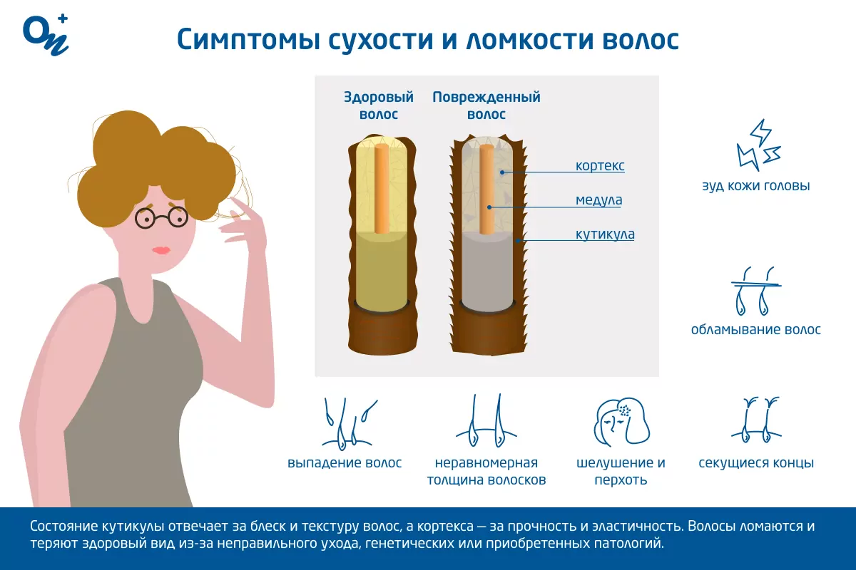 О волосах, трихологии и враче-трихологе - клиника “Косметомед”