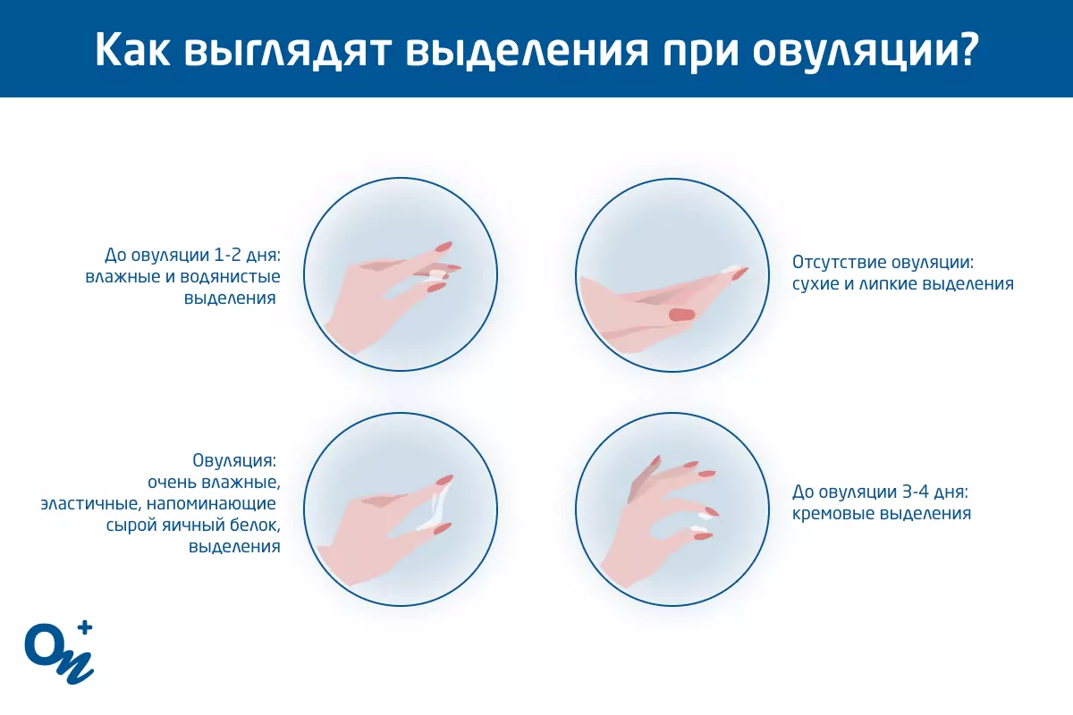 Про белок, сколько нужно и как его наесть?