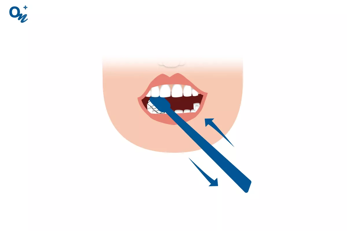 Очистіть жувальну поверхню зубів короткими рухами вперед і назад