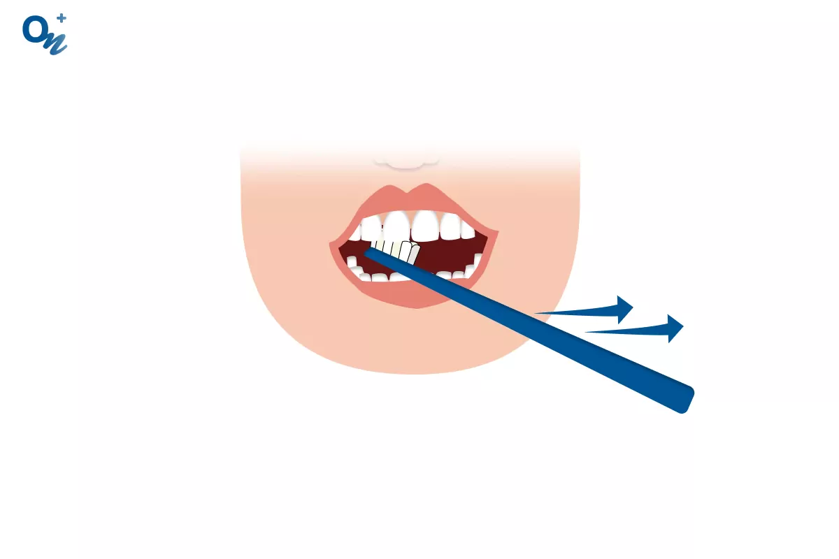 Очистите внутреннюю поверхность зубов движениями от десен к краю зубов