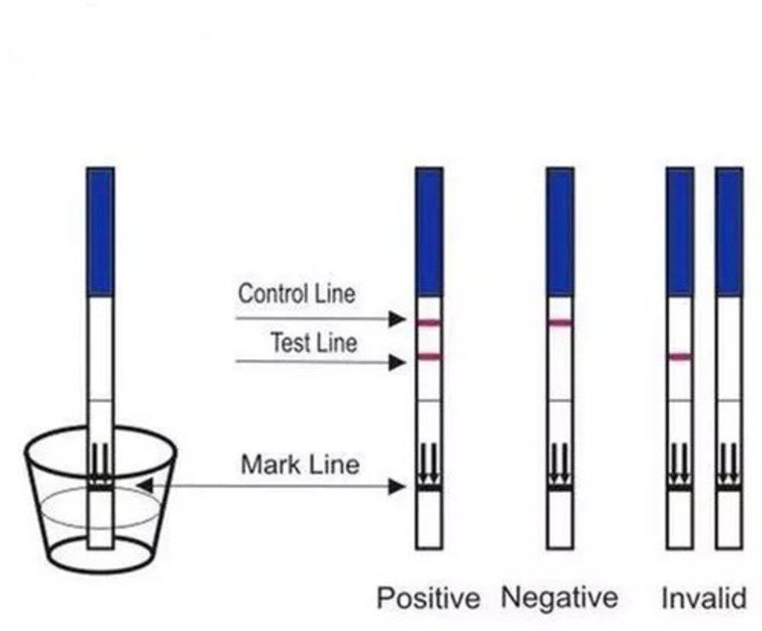 Як використовувати стрип-тест на вагітність