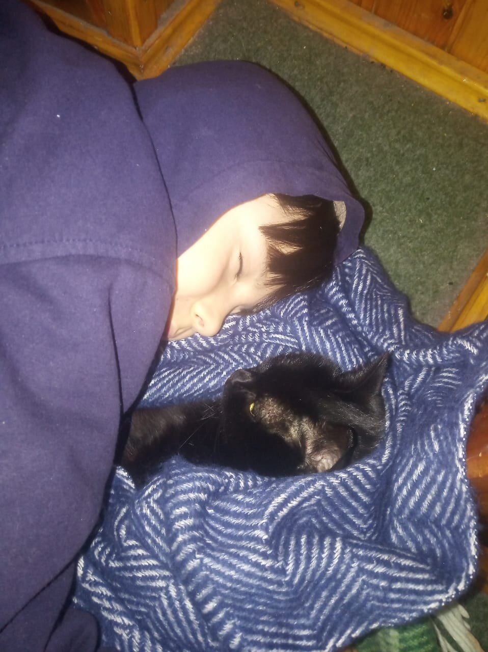 Артур с его кошкой Масей